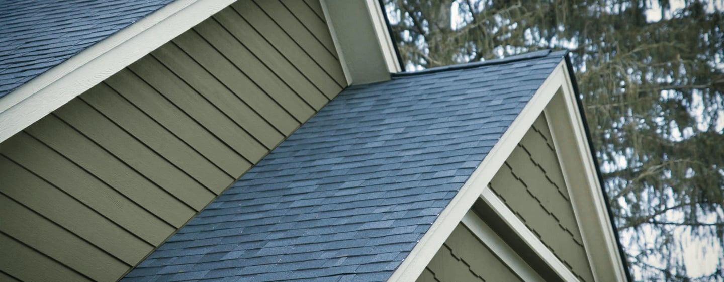 LP ExpertFinish_Garden Sage_Close Up (1)