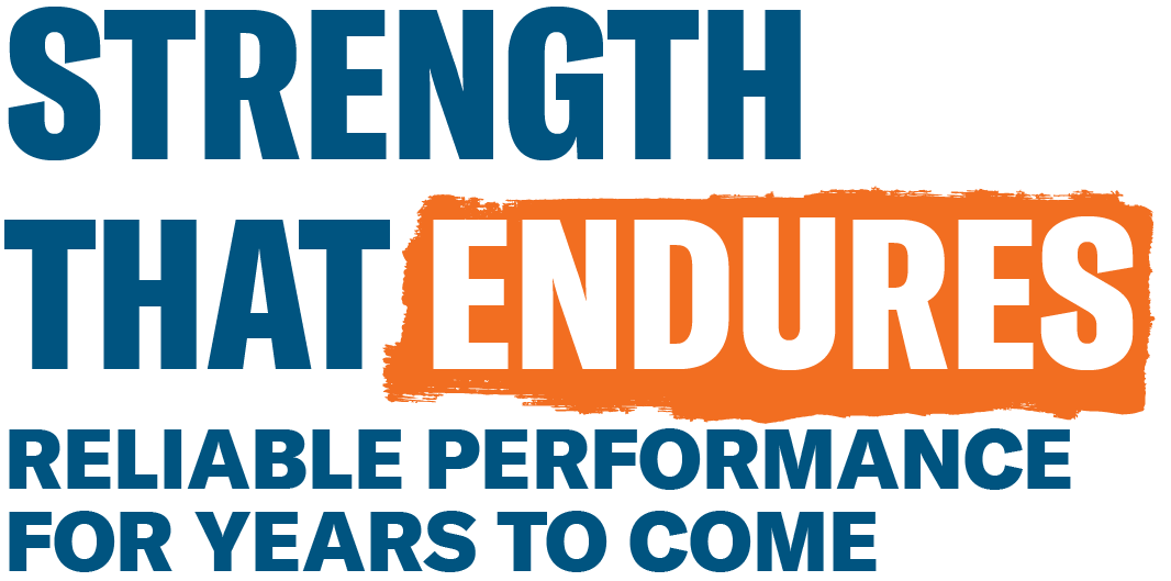 LP_Terminus_elements__Strength that endures_C_L LP_Terminus_elements__Strength that endures_C_L